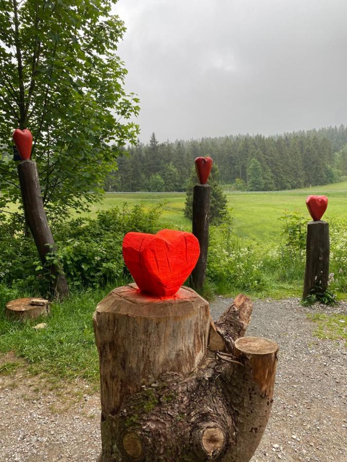 Komfort Ferienwohnung Wunder Goslar Exteriör bild